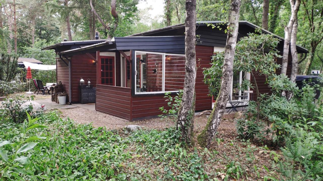Bosbungalow De Eekhoorn Nunspeet Exterior photo