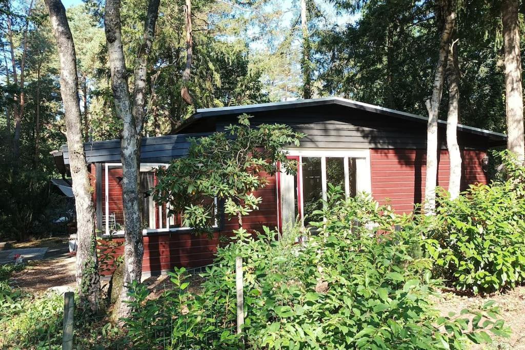 Bosbungalow De Eekhoorn Nunspeet Exterior photo